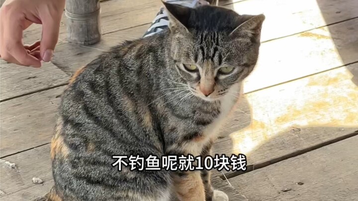 How many days off for the Guangxi holiday?