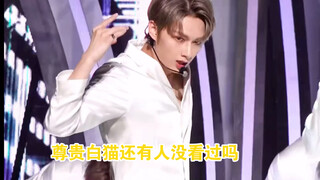 Koleksi beberapa gaya tari inses Wen Junhui