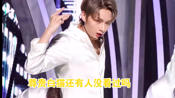 Koleksi beberapa gaya tari inses Wen Junhui