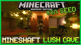 แจก Seed Minecraft PE 1.17.10 เหมือง Mineshaft ในถ้ำ Lush Cave