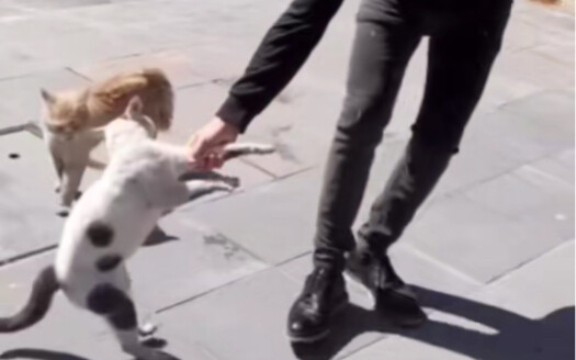 Your dad found out about your relationship