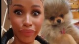 Cardi B talks about her dog Fluffy during live stream