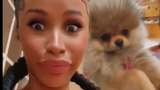 Cardi B trêu Fluffy khi livestream, Fluffy phiền phức và bất lực