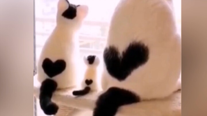 "A family should always be together and complete."