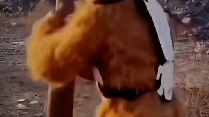 أربعة مفاجآت كبيرة