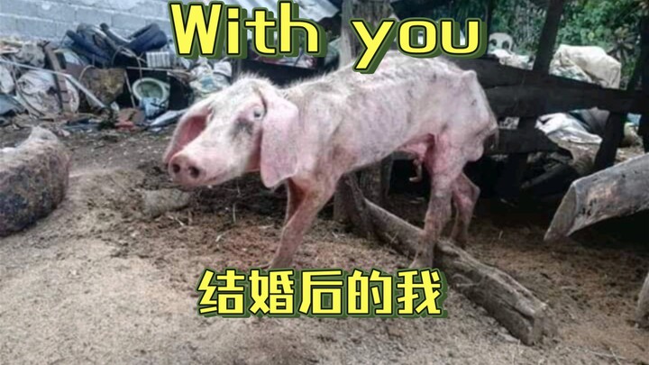 Cười mỗi ngày (4)