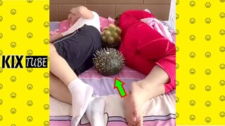 Coi cứ cười P598 ● Những khoảnh khắc hài hước 2021