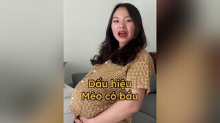 Dấu hiệu nhận biết mèo có bầu mèo cat LearnOnTikTok thaomeo