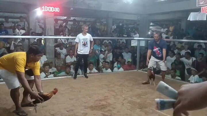 Testing of Our Pure Lemon