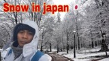 Snow in japan 🇯🇵 (my first experience playing with my Japanese co-workers )