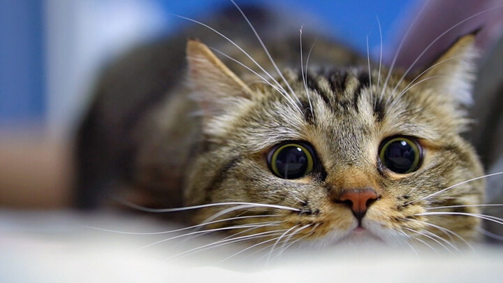 Perasaan mencuri yang luar biasa