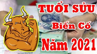 Xem Tử Vi Tuổi Sửu 6 Tháng Đầu Năm 2021, Nhiều Biến Cố Vất Vả Nếu Không Làm Việc Này