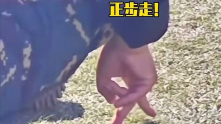 If I can do it with my own hands, why can’t they… Military Training!