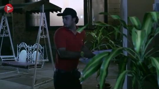Pizza delivery Wala