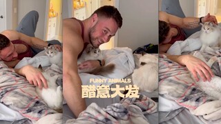 猫：谁都不能和我抢男人‼️
