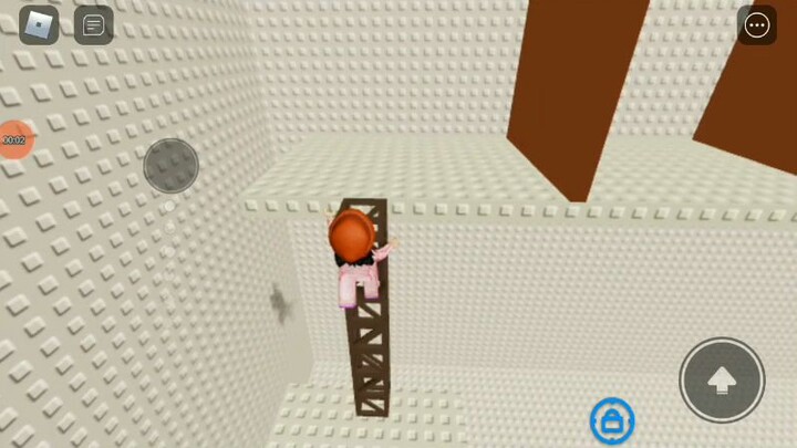 main roblox dpet bonus ygy