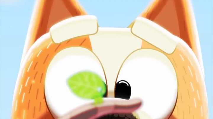 That's why I like Bluey.