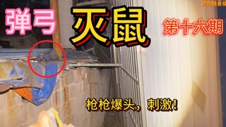 广西小伙手持弹弓灭鼠，枪枪爆头，真是高手在民间啊！