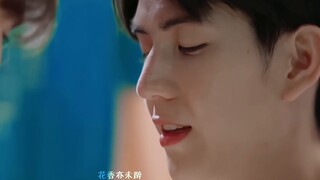 Câu chuyện về một người mù và chú chó dẫn đường của mình. Chú chó dẫn đường suýt mất chủ nhưng may m