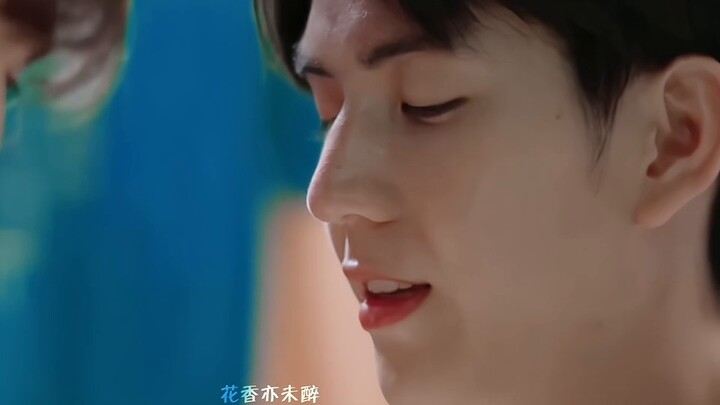 The story of a little blind man and his guide dog. The guide dog almost lost his master, but fortuna