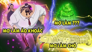 Trái Ác Quỷ Là Ước Mơ Của Ai Đó ? Top 10 Năng Lực Ác Quỷ Khó Hiểu Nhất One Piece