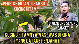 PERGI KE HUTAN KETEMU RUMAH DAN DI SAMBUT KUCING HITAM..!