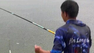 全体钓友降半漂致敬。