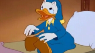 很抱歉，我今天有计划