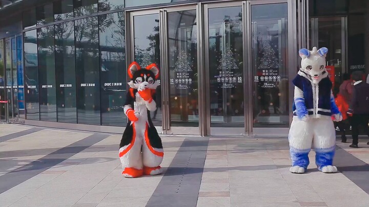 【FURRY】ลมฤดูใบไม้ผลิแห่งการปฏิรูปพัดไปทั่ว ver ฉา & ลั่วเป่ย