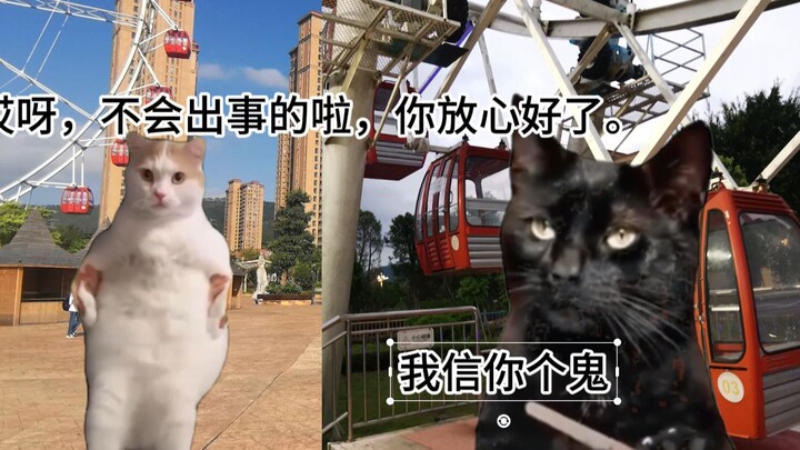 【Meme kucing】Kejadian saat pegawai yang asyik main ponsel malah mengirim turis ke dalam oven