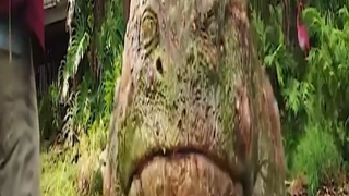 good movie(720p) #BilibiliCreatorsCamp