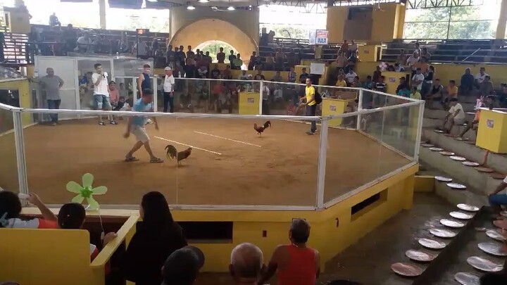 @LOON ARENA BOHOL jan.19 2025