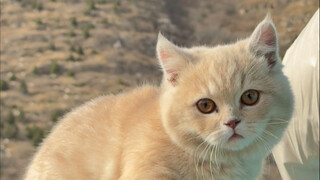 خرجت للخارج