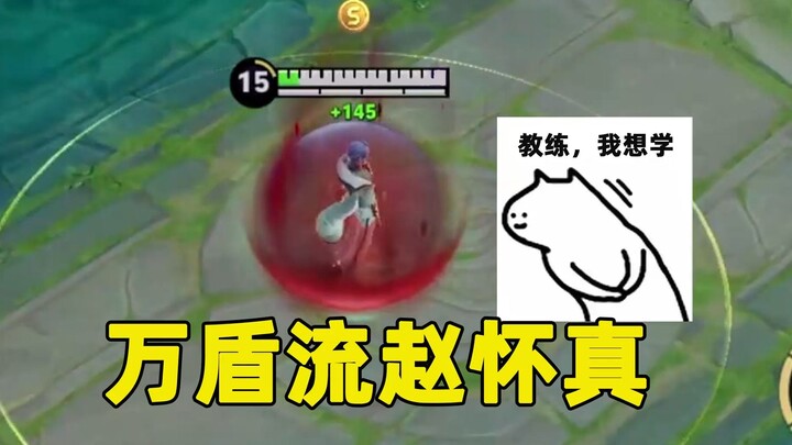 Coach, I wanna learn the “Wandun” build for Zhao Huaizhen!