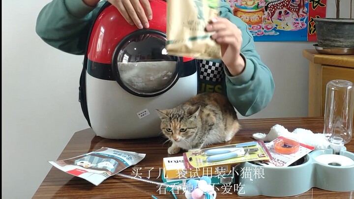 Chinese Village Cat Tries Kibble for the First Time—It’s So Delicious She Can’t Stop Eating!