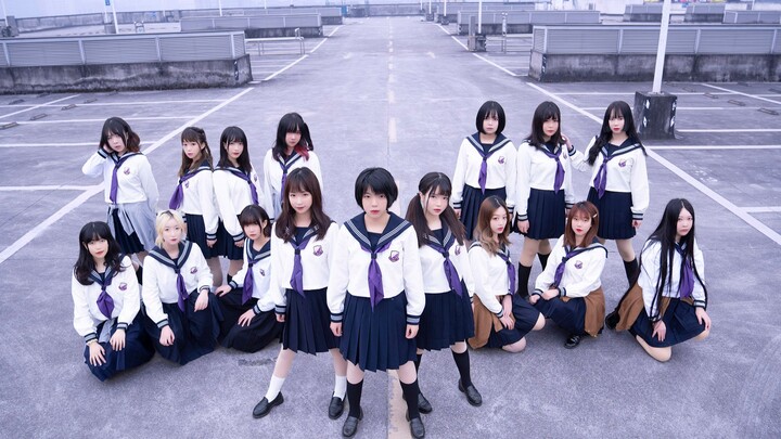 [Nogizaka46] The most complete uniform puppets in history, all 16 members, complete version, Valenti