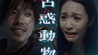 【乌鸦x细细粒】还原《古惑动物》 时间顺序｜微台词向(戴耳机食用)｜误导向｜张耀扬x黎姿｜“阿细，以后就跟着我”