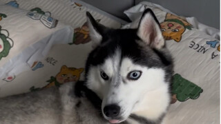 Một ngày lười biếng lười biếng