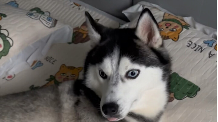 Sehari penuh malas-malasan