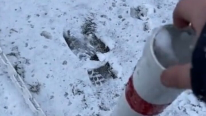 Aku bisa mainin ini seharian.