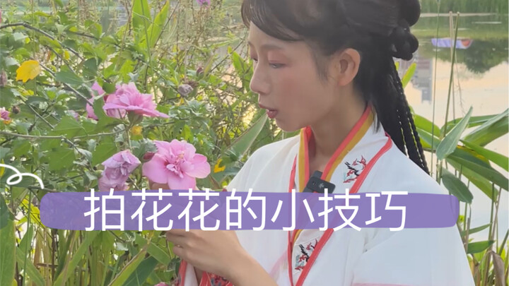 التعاويذ الأربع لعفريتة الزهور