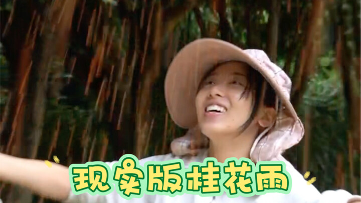 家里217棵桂花树同时开花，染了一地的香。