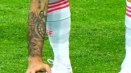 Hewan-hewan kecil di dunia sepak bola