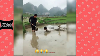 AWW New Funny Videos EP2 ● People doing  2022