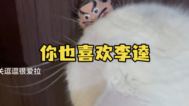 Apa gunanya memelihara kucing