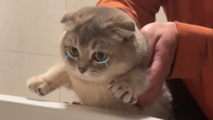 I just drank a little toilet water, that's all.