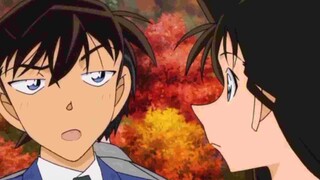 Love story - Shinichi & Ran | Detective Conan