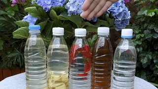 Five Types of Water for Growing Flowers