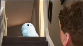 Small workshops are very aggressive in cutting materials