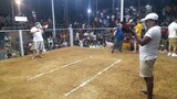 bulik win, 3x winner, 3cock derby, d3c 17, 2023 pachampion kalaban